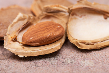 Dried Apricot Kernels (the seed of an apricot, often called a 