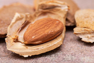 Dried Apricot Kernels (the seed of an apricot, often called a 