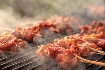 Grilled chicken is still not cooked on the smoke stove.