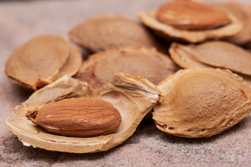 Dried Apricot Kernels (the seed of an apricot, often called a 