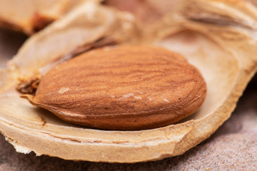 Dried Apricot Kernels (the seed of an apricot, often called a 