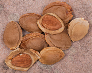 Dried Apricot Kernels (the seed of an apricot, often called a 