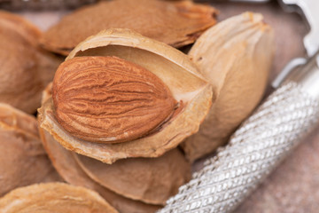 Dried Apricot Kernels (the seed of an apricot, often called a 