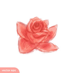 Pink rose flower head sketch style illustration graphic asset in vector