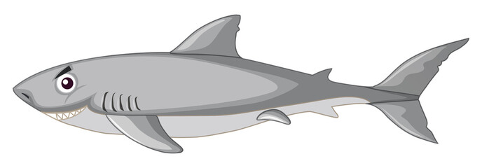 A shark on white background