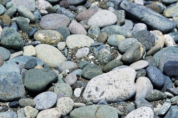 Fototapeta na wymiar 海岸の小石