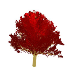 Red maple tree 2D rendering graphic picture isolated on white background. For decorating the garden and forest.
