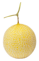 Cantaloupe melon