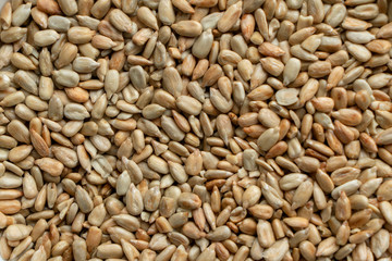 texture of peeled sunflower seeds close-up