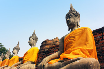 Ancient statues of meditating buddha sitting, at Wat Yai Chaimongkol old temple in Ayutthaya,...