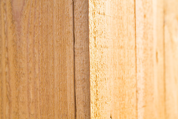 Natural yellow wooden surface background and texture with its half lit with sunlight and another half in shadow