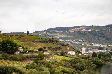 Fototapeta na wymiar Alto Douro Wine Region in northern Portugal