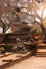 Fototapeta na wymiar Ancient statues of Buddha in ruins, inside an old temple. Ayutthaya, Thailand