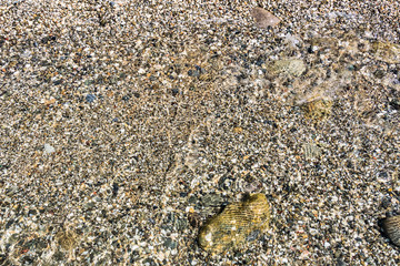 Pebbles on the sea beach
