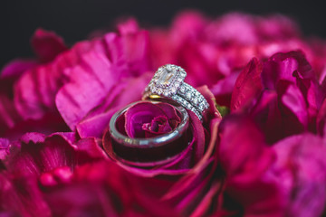 wedding rings and rose