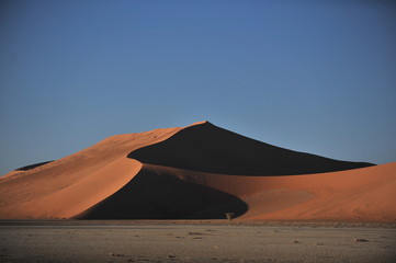 Fototapeta na wymiar Namibia. Namib Desert The sand dunes of the red sand are the visiting card of Namibia.