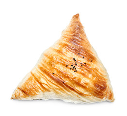 Delicious samsa on white background