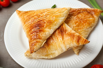 Delicious samosas on plate, closeup