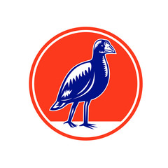 Retro woodcut style illustration of a takahe, the South Island takahe or notornis, a flightless bird indigenous to New Zealand viewed from side set inside oval shape on isolated background.