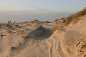 schöne Dünen Landschaft an der Nordsee in St. Peter Ording