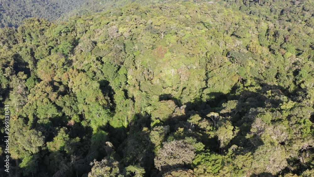 Wall mural Rainforest and clouds. Mist and clouds rise from mountain forest. Aerial drone footage 