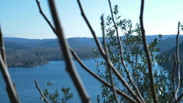 Branches blown by wind on top of an italian lake