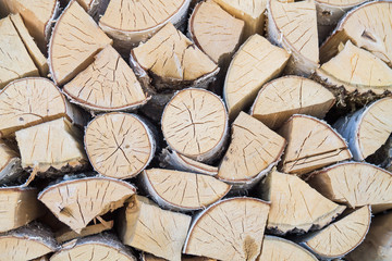 Fototapeta premium Background of chopped, sawn and stabbed stacked wooden white birch logs.