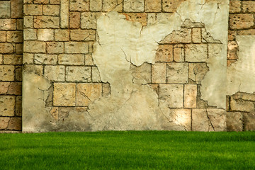 View of the old wall from  coquina and fallen-off  plaster with green grass. Stylized textured grunge background
