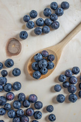 Freshly picked blueberries in a bowl