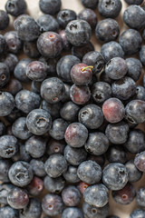 Freshly picked blueberries in a bowl