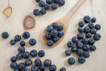 Freshly picked blueberries in a bowl