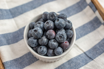 Freshly picked blueberries in a bowl