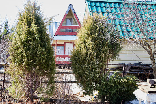 Houses in the cottage among the bushes and plants on a spring
