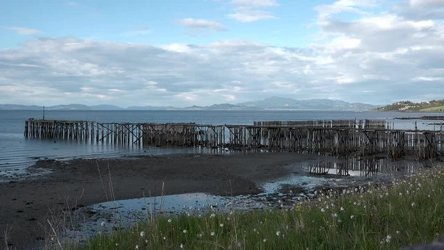 This batch contains several clips from the a sunny day in may in the scandinavian country of Norway. Sun in the trees. Flowers and trees are blooming. Waterfall and the seagulls play on the beach.