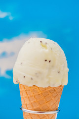 アイスクリーム　ジェラート　Midsummer cold ice cream