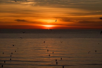 Sunrise colour