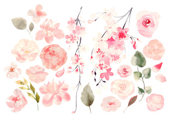 Beautiful watercolor wedding card with peony flowers, roses and orchid flower.  © knopazyzy