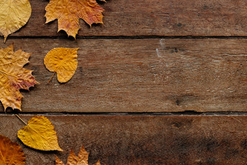 Naklejka na ściany i meble Autumn leaves on wooden background with copy space. Wallpaper for September 1.