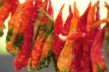 Pepper, zucchini, dried eggplant. Dry stuffed Turkish dishes