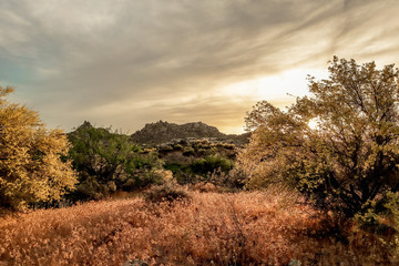 Fototapeta na wymiar Golden Sunset in North Scottsdale