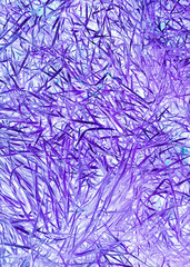 Colorful neon futuristic purple leaves texture.