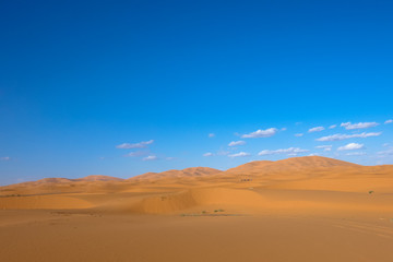 Fototapeta na wymiar Erg Chebbi sand dunes near Merzouga, Morocco