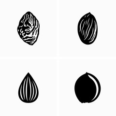 Fototapeta na wymiar Different types and shapes of fruit pits