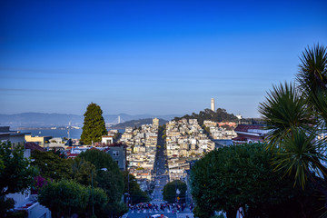 View on Coit Tower from Lombard street in San Francisco at dusk.