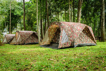 Tent camping in the forest
