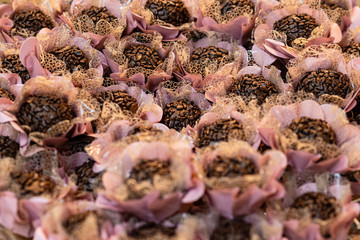 Brazilian sweets for wedding party. Brigadeiro.