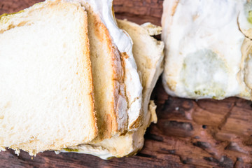 Mold up the bread that has expired