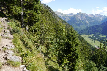 Fototapeta premium Wanderweg im Allgäu in den Alpen bei Bad Hindelang