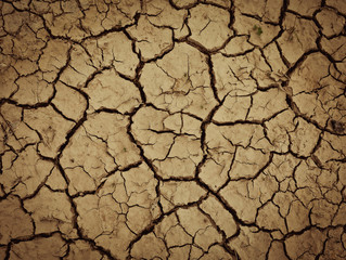 Land with dry and cracked ground. Global warming background
