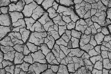 Land with dry and cracked ground. Global warming background